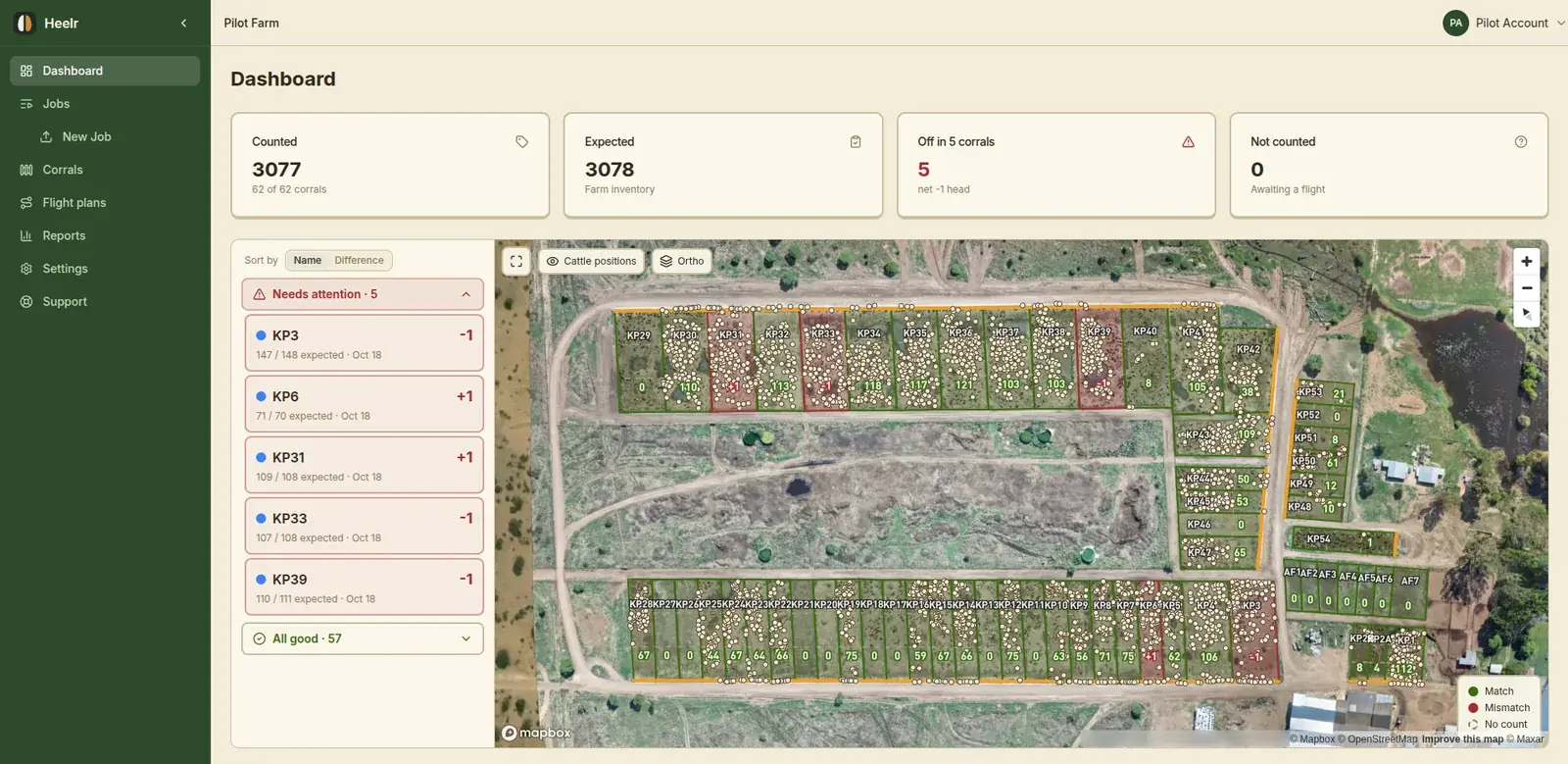 Heelr dashboard with every counted animal plotted as a dot on the feedlot map