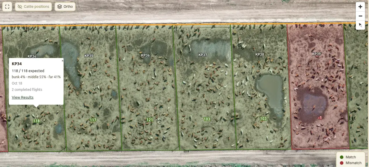 High-resolution Heelr drone map of six feedlot pens with individual cattle visible and per-pen counts