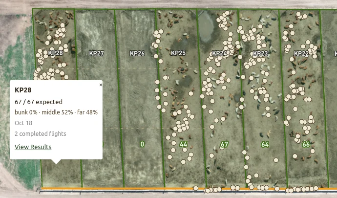 Drone map of a row of feedlot pens with every animal marked as a dot, and a popup for pen KP28 showing 67 of 67 expected, 0% at the bunk, 52% in the middle and 48% at the far end